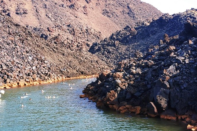 Santorini Volcanic Islands Cruise: Volcano, Hot Springs and Thirassia - The Guides: Knowledgeable and Helpful