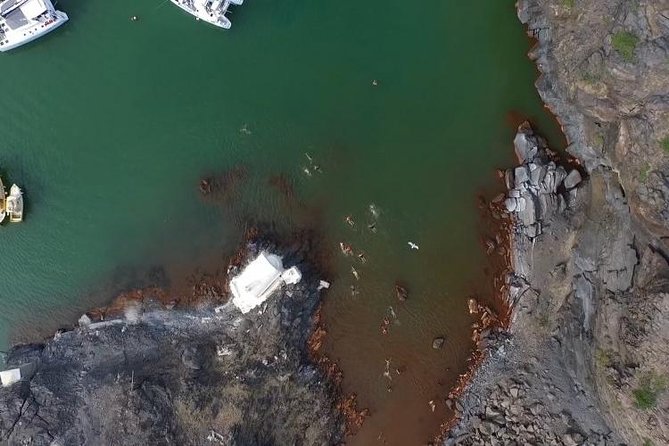 Santorini Volcano Tour - The Pacing and Crowd Levels
