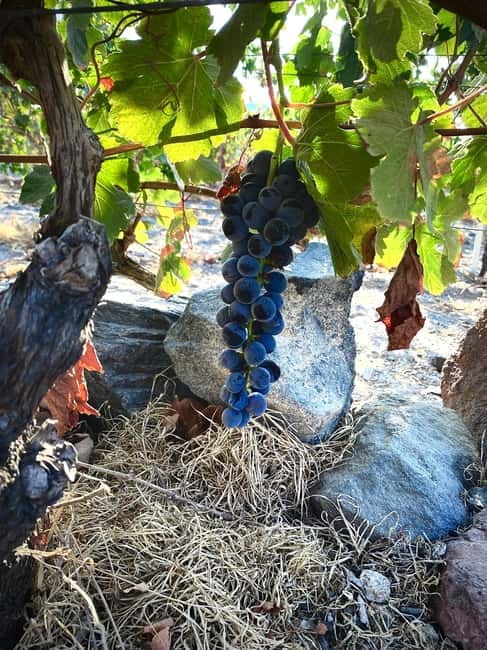 Santorini Wine & History Tour with 3 Expert Sommeliers - Scenic Drives Between Wineries and Breathtaking Views