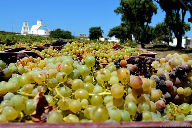 Santorini wine roads Half day - Discover Santorini’s Volcanic Soil at Profitis Ilias Mountain