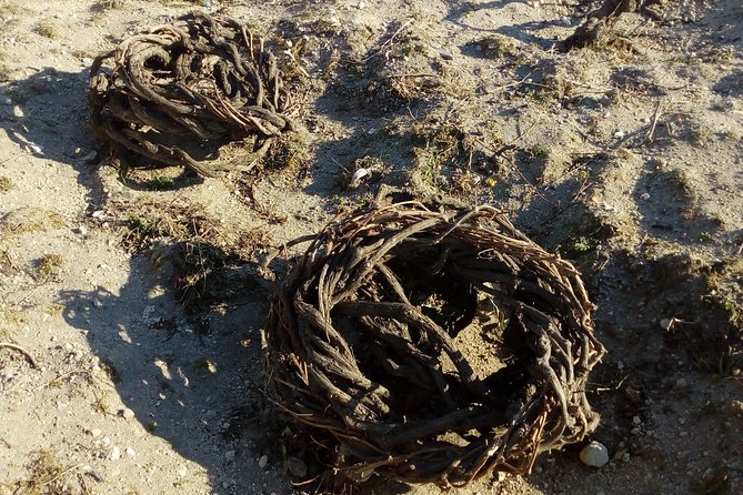 Santorini Wine Tasting and Sunset Getaway Small Group Tour - Comfortable Transportation and Personalized Experience