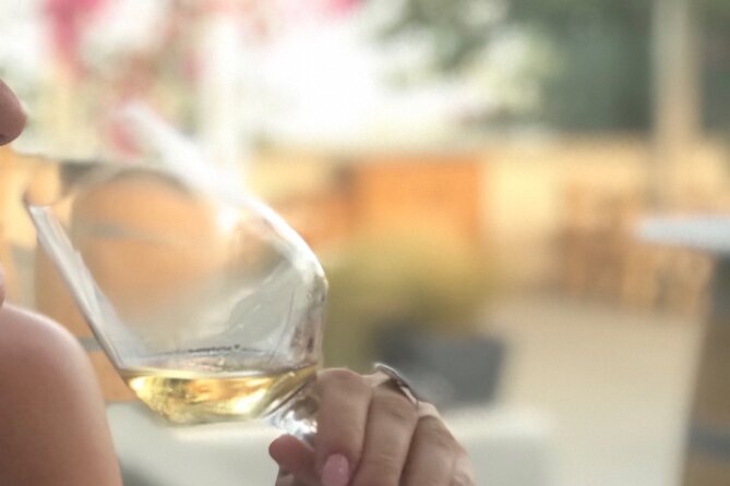 Santorini wine tasting and Traditional Cave Settlement Tour - Explore Santorini’s Hidden Cave Settlement and Volcanic Wines