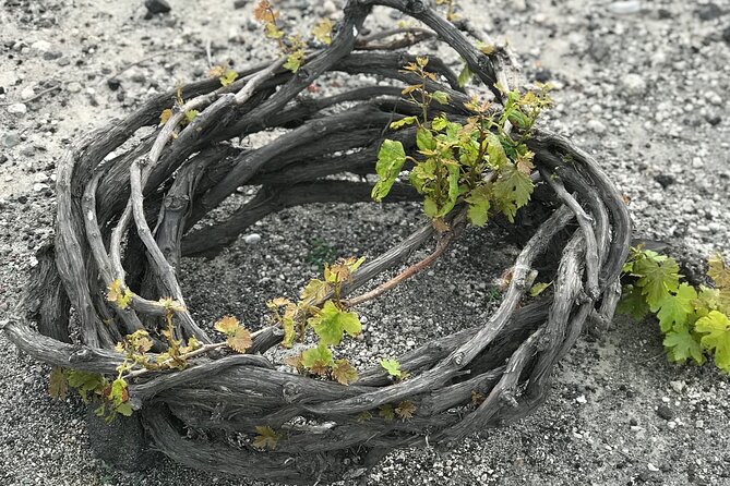 Santorini wine tasting and Traditional Cave Settlement Tour - Key Points
