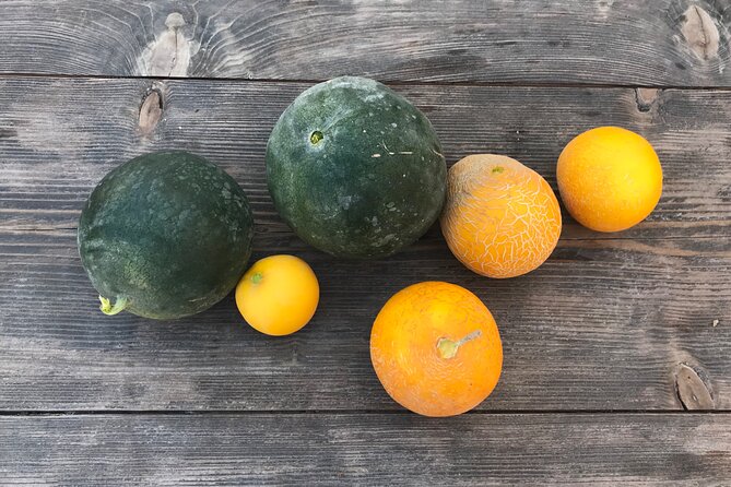 Santorini wine tasting and Traditional Cave Settlement Tour - Practical Details and Booking Insights