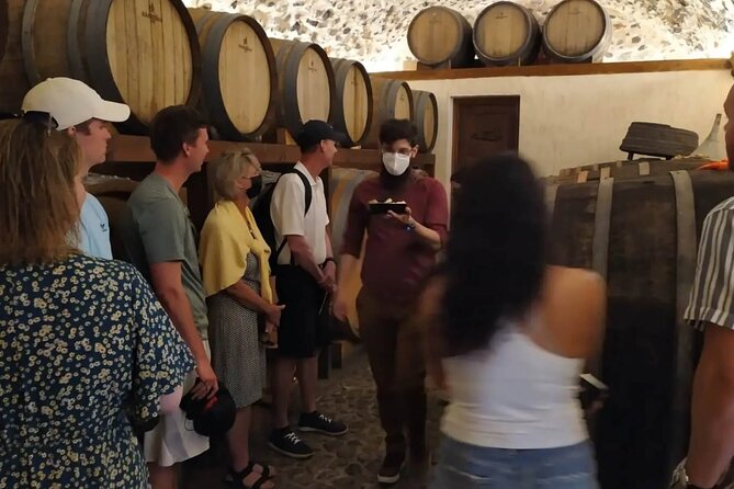 Santorini Wine Tasting: Private Tour with a Certified Wine Guide - Exploring the Unique Santorini Indigenous Vines in Megalochori