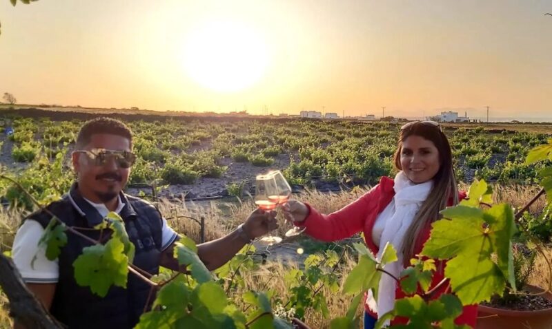 Santorini: Wine Tasting Tour - Explore Santorini’s Award-Winning Wineries with a Guided Tasting Tour