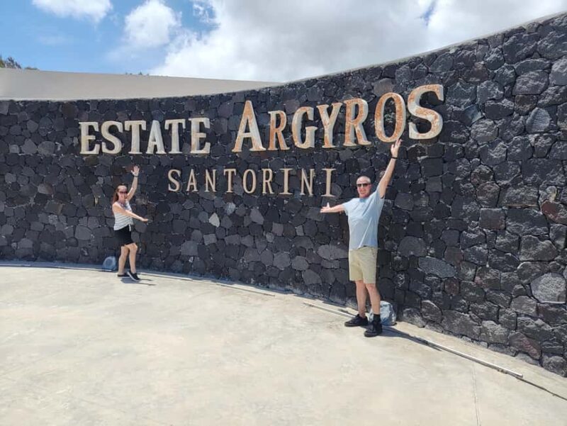 Santorini: Wine Tasting with Local Guide - The Vinous Experience: Tasting Santorini’s Native Wines