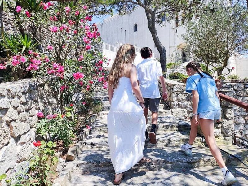 Santorini: Wine Tasting with Local Guide - Why This Tour Stands Out Among Similar Experiences