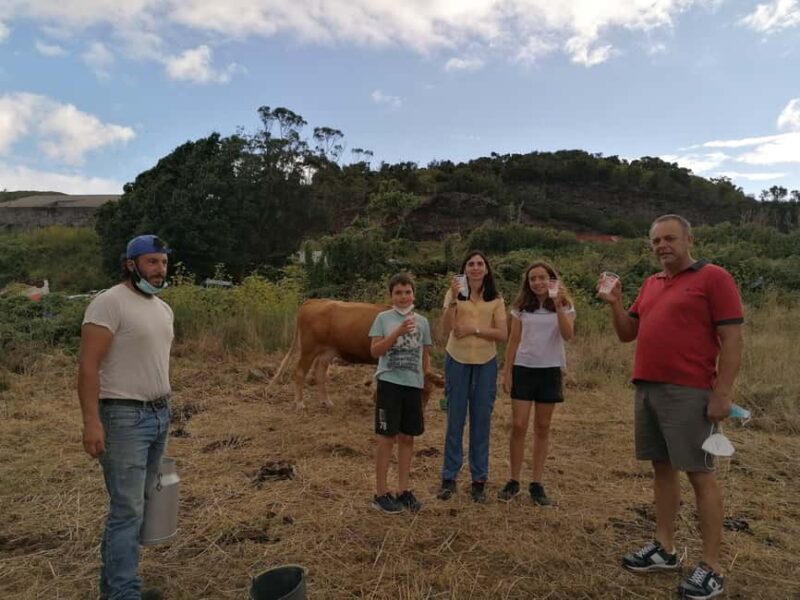 Sao Jorge Cheese Tour - Half day - Practical Details of Pickup, Duration, and Group Size
