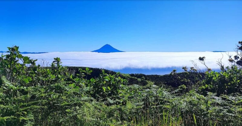 São Jorge: Island, Forest Reserve & Fajãs Guided Tour - Cultural and Historical Sites on the Route