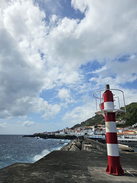 São Jorge: Island, Forest Reserve & Fajãs Guided Tour - The Lunch Break: Flexibility and Options