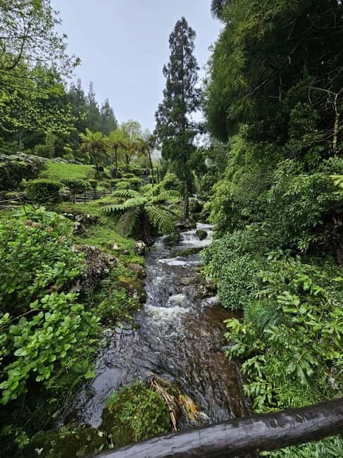São Jorge Island Panoramic Adventure  4 Hour Tour - The Iconic Fajás and Why This Tour Focuses on Their Views