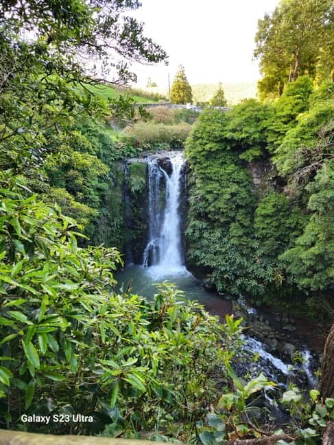 São Jorge Island Panoramic Adventure  4 Hour Tour - São Jorge Island Panoramic Adventure: Final Thoughts