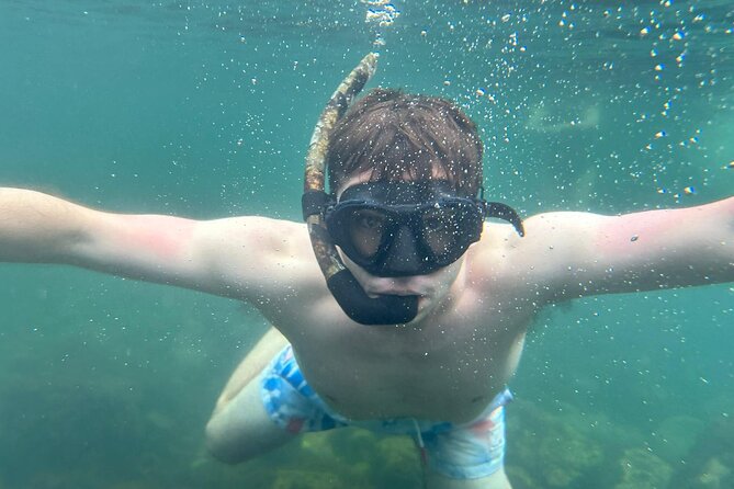 São Miguel Azores: Hike and Snorkeling into the wild with a local - Why Choose This Tour in São Miguel?