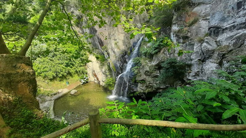 São Miguel Azores: Hike and Snorkeling with a local - Logistics and Comfort of the Tour