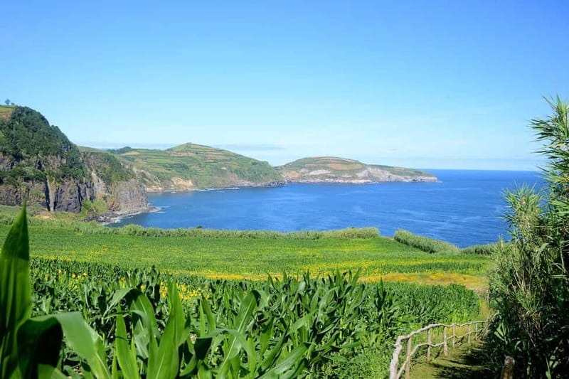 São Miguel Azores: Hike and Snorkeling with a local - Practical Tips for a Smooth Experience