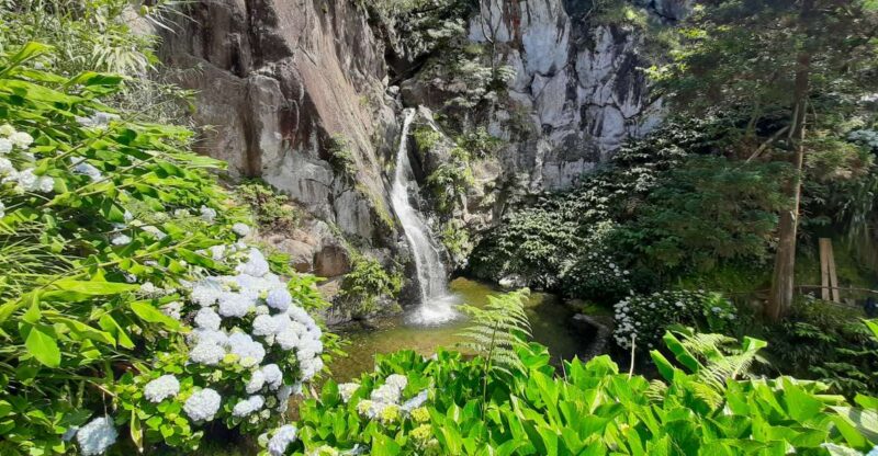 São Miguel Azores: Hike and Snorkeling with a local - The Guides: Knowledgeable and Personable