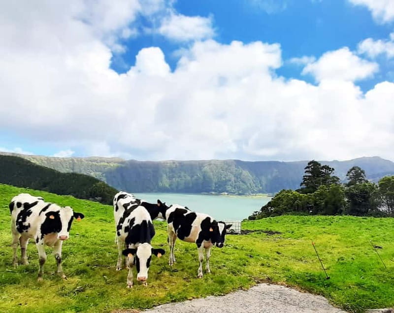 São Miguel Azores: Sete Cidades Guided tour with a local - Comparing This Tour to Other Azores Experiences