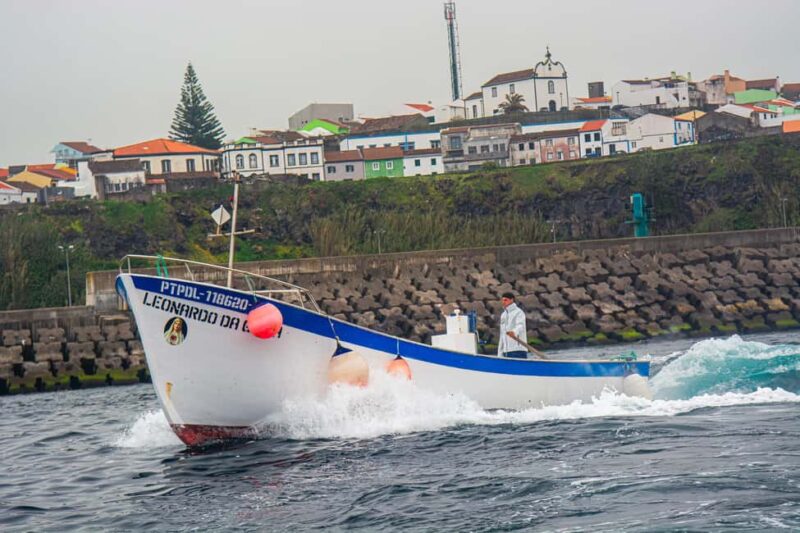 Sao Miguel: Azores Traditional Fishing - Half Day - Authentic Azorean Fishing Experience on São Miguel