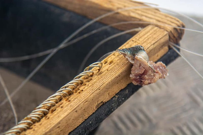 Sao Miguel: Azores Traditional Fishing - Half Day - Weather and Seas: What to Expect