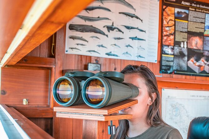 São Miguel: Azores Whaling Heritage Tour - Key Points