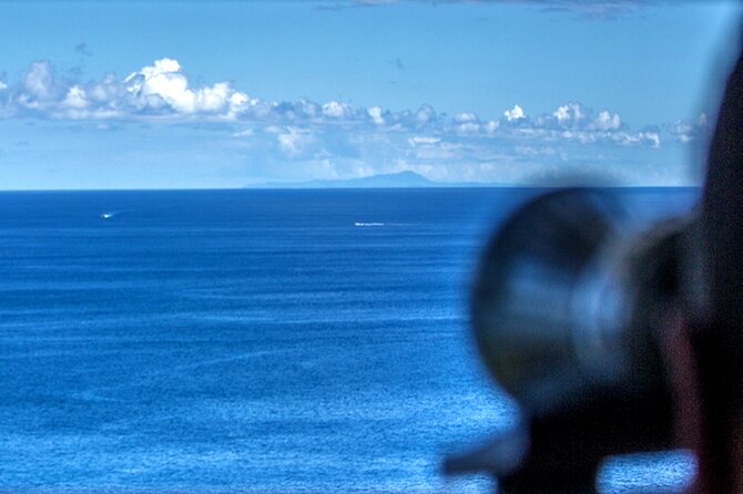 São Miguel: Azores Whaling Heritage Tour - The Importance of the Whale Watching Techniques