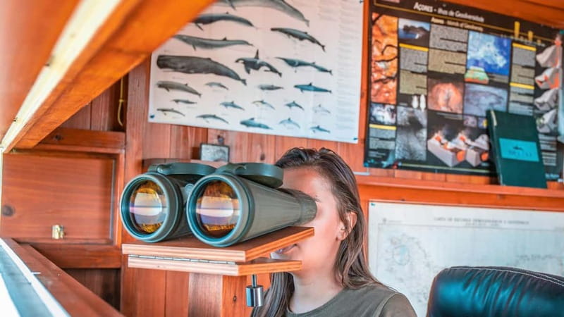 São Miguel: Azores Whaling Heritage Tour - Key Points