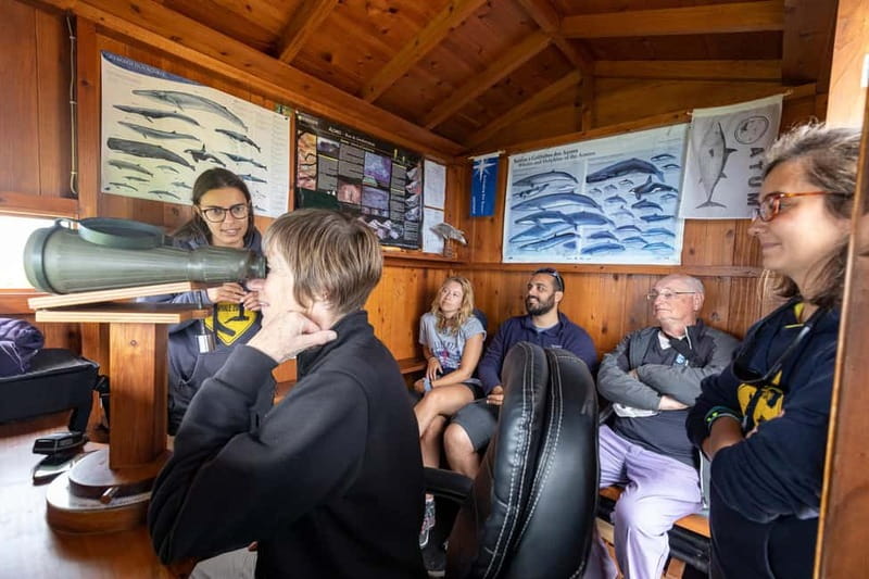 São Miguel: Azores Whaling Heritage Tour - The Significance of Azorean Whaling and Whale Watching