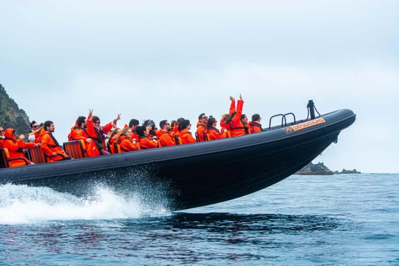 Sao Miguel: Boat Tour of the Wild & Hidden North Coast - Pacing and Overall Flow