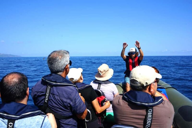 São Miguel: Boat Tour  Volcanic Wonders, Caves & History - Visiting Ponta do Cintrão and Morro de Santana