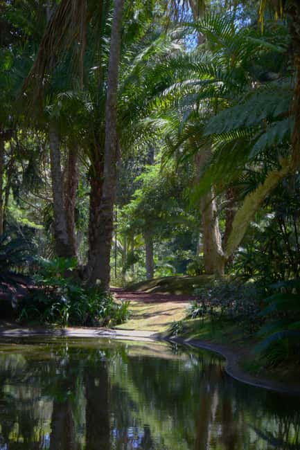 São Miguel: Botanical Gardens and Cave Tour - Who Will Enjoy This Tour the Most?