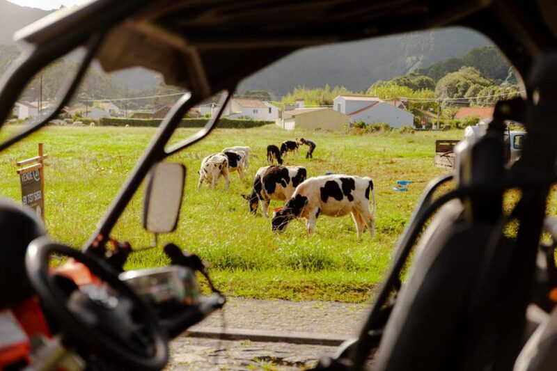 Sao Miguel: Buggy Tour Around Sete Cidades Volcano - Comparing Similar Azores Buggy Tours