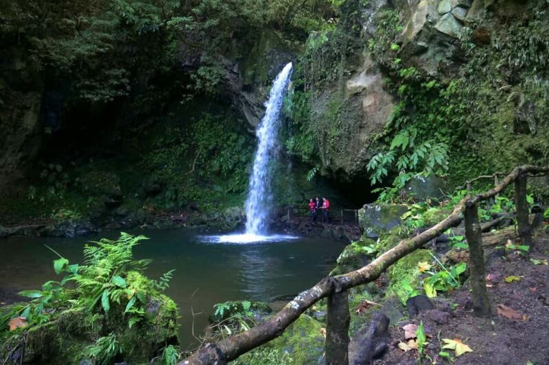 São Miguel: Félix Waterfalls Hike & North Coast Private Tour - Exploring the Félix Waterfalls along the Watermills Trail