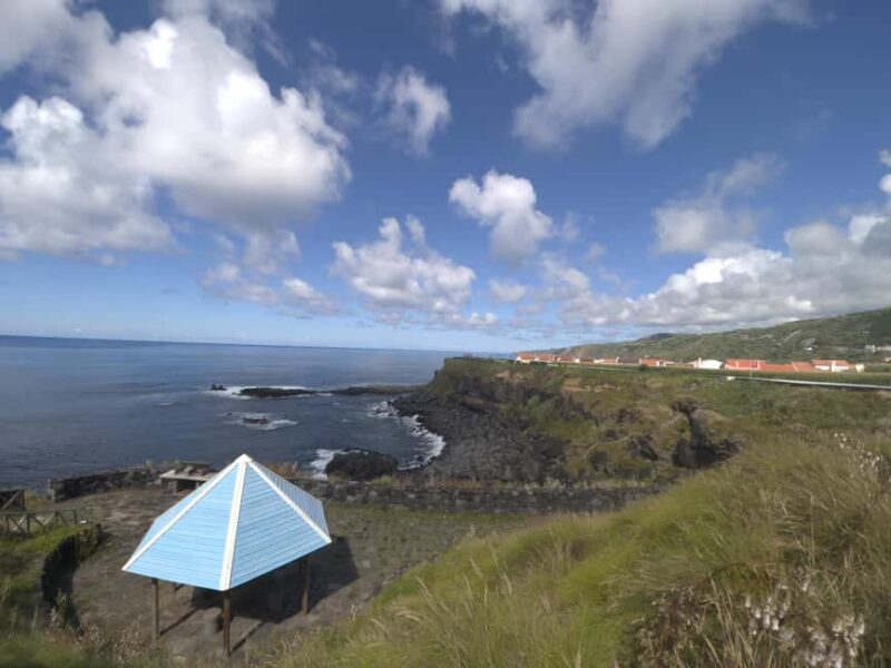 São Miguel: Félix Waterfalls Hike & North Coast Private Tour - Tasting Azorean Tea and Sweets at a Local Tea House