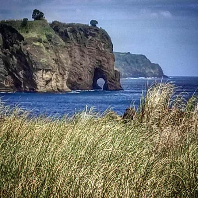 São Miguel: Full-Day Exploring the Island's 3 Volcanos - Views from Pico do Carvão and the King View