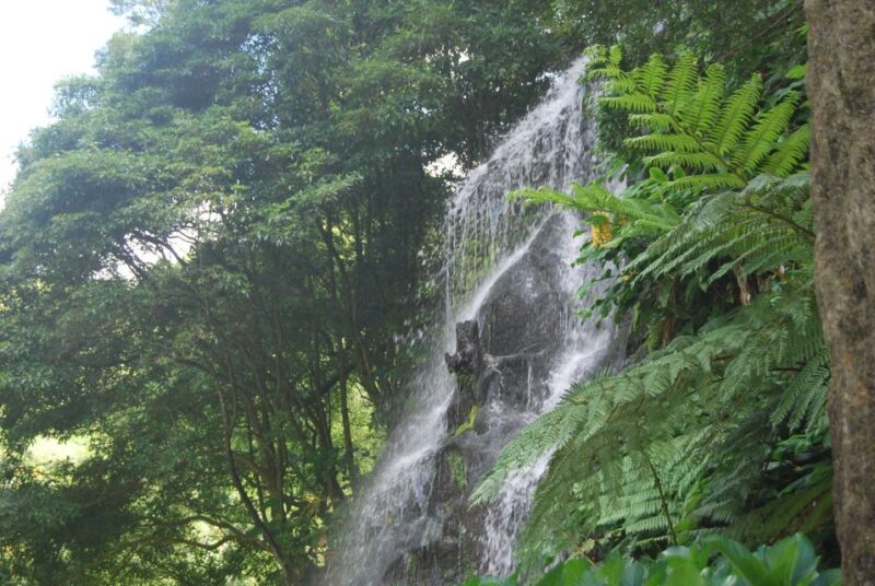 São Miguel: Full-Day Nordeste & Waterfall Tour with Lunch - Key Points