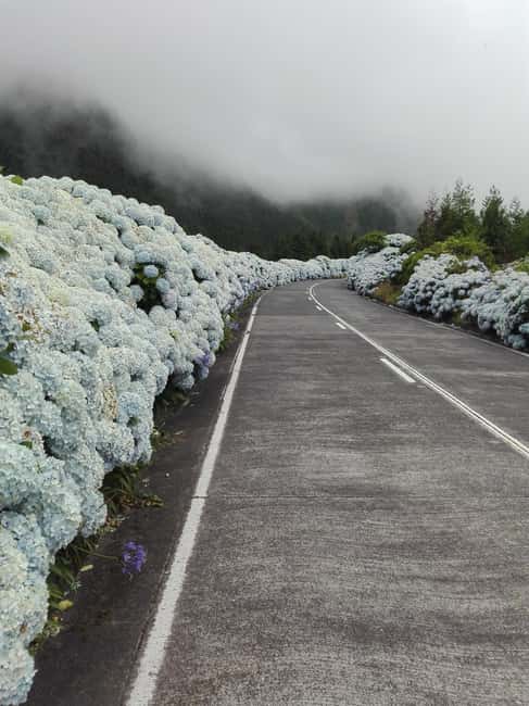São Miguel: Full day tour 7 Cidades lakes/Fire Lake - Cultural and Gastronomic Experiences