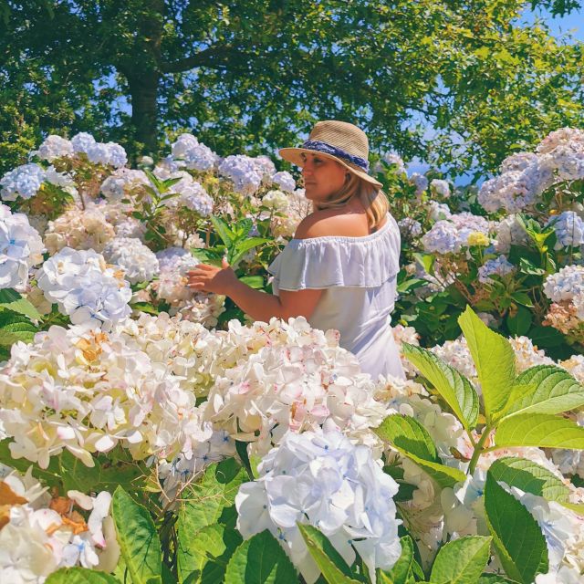 São Miguel: Furnas and Nordeste Full-Day Tour with Lunch - Visiting Ribeira dos Caldeirões Natural Park and Watermills