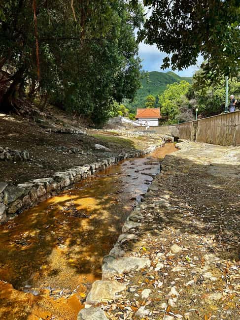 São Miguel: Furnas Half-Day Tour - Key Points