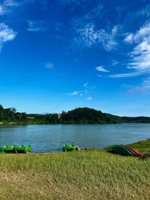 São Miguel: Furnas Half-Day Tour - Visiting Europe’s Only Tea Plantations at Gorreana and Porto Formoso