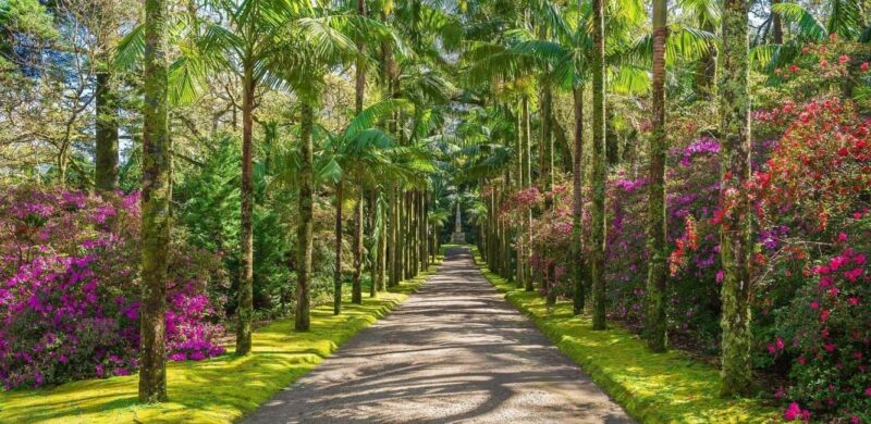 São Miguel: Furnas Half-Day Tour - Exploring Furnas Lagoon and Its Thermal Wonders
