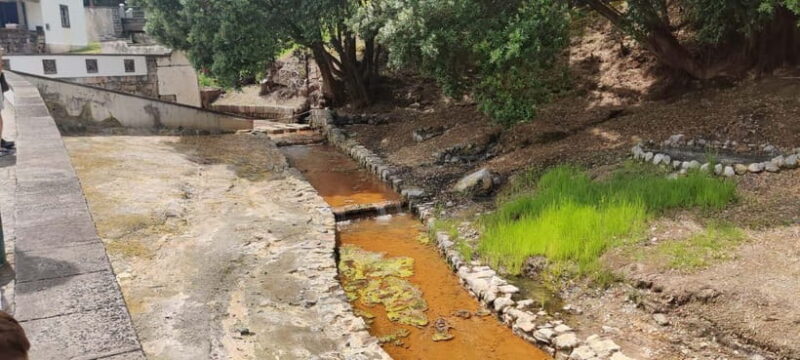 São Miguel: Furnas Valley Tour with Thermal Bath Option - São Miguel: Furnas Valley Tour for a Memorable Island Experience