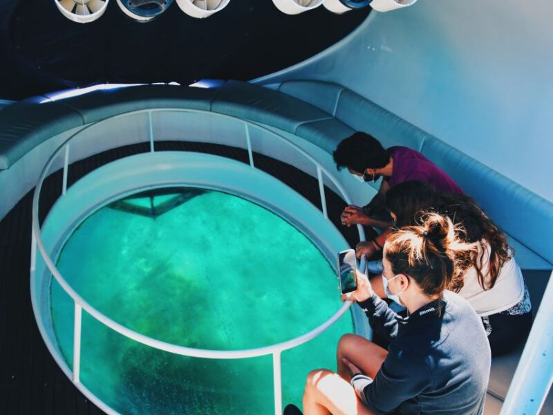 São Miguel: Glass Bottom Boat Tour with Snorkeling - Discover São Miguel’s Marine Wonders from the Comfort of a Glass Bottom Boat