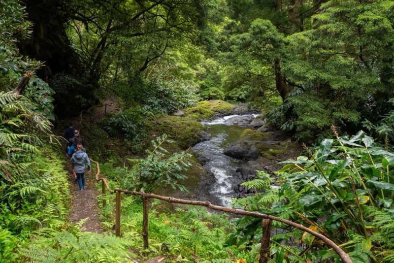 São Miguel Island: Chasing Waterfalls in the Azores Tour - Discover the Best Waterfalls of São Miguel in One Day
