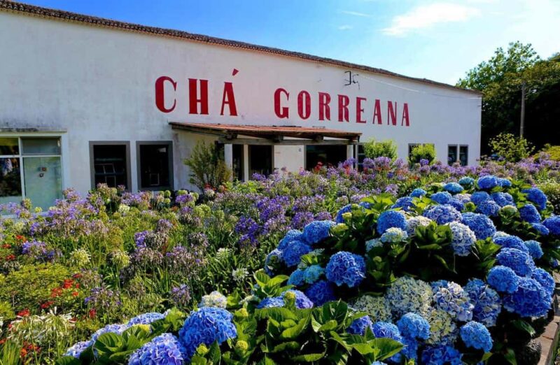 São Miguel Island: Full-Day Furnas and Vila Franca Tour - Explore São Miguel in a Full-Day Tour Covering Furnas, Vila Franca do Campo, and More