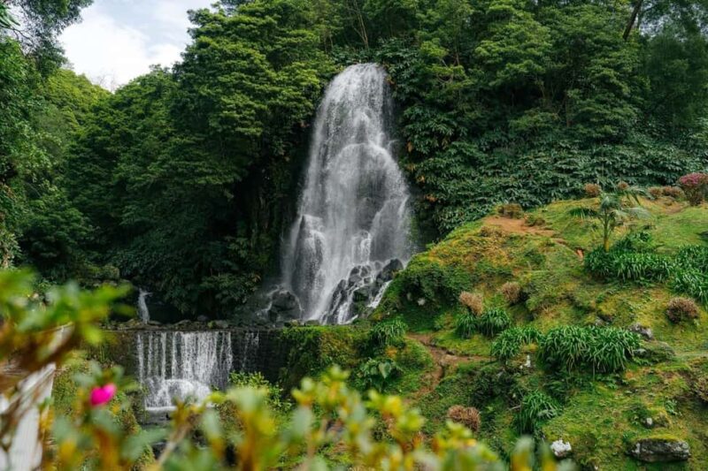 São Miguel Island: Full-Day Ribeira Park and Nordeste Tour - Discover São Miguels Natural Wonders with the Ribeira Park and Nordeste Tour