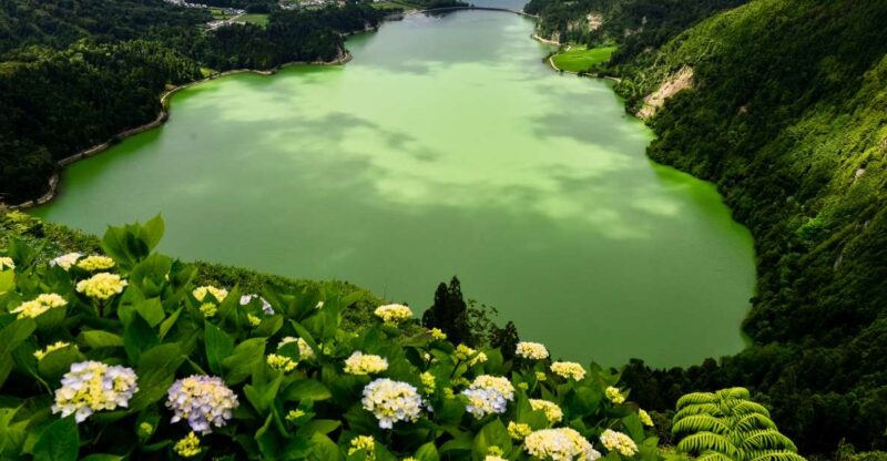 São Miguel Island: Full-Day Sete Cidades Tour - Return to Ponta Delgada and Drop-offs