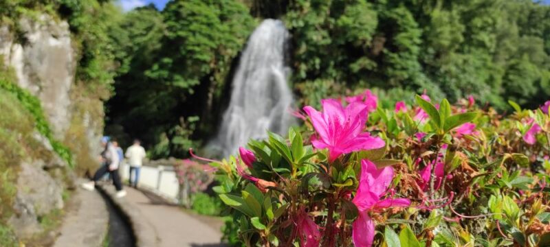 São Miguel Island on Jeep - Comparing This Tour to Others on São Miguel