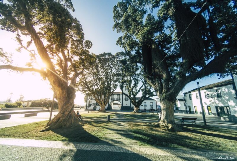 Sao Miguel: Jeep Tour to Sete Cidades & Lagoa do Fogo - Enjoying a Tasty Azorean Lunch
