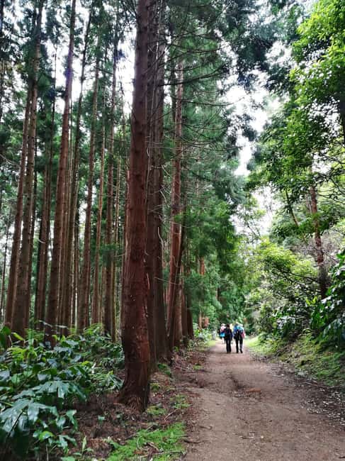 São Miguel: Lagoa do Fogo Hike - Key Points